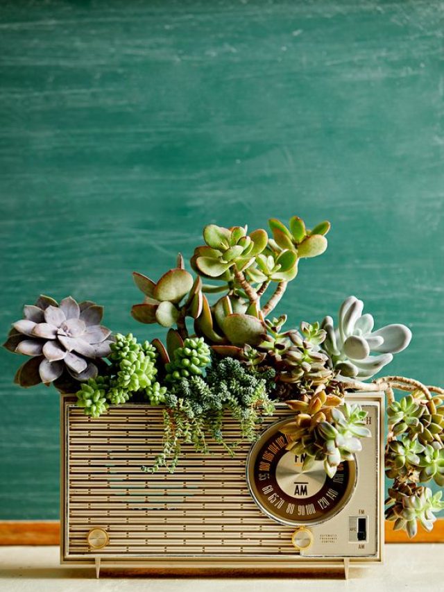 cropped-10-bhg_com.jpg